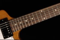 Gibson Explorer