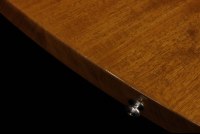 Gibson Explorer