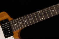 Gibson Explorer