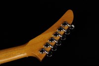Gibson Explorer