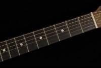 Gibson Generation Collection G-00