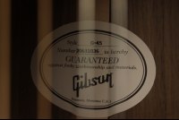 Gibson Generation Collection G-45