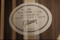 Gibson Generation Collection G-45