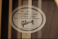 Gibson Generation Collection G-45