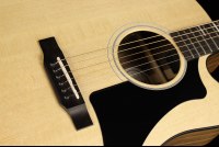 Gibson Generation Collection G-Writer EC