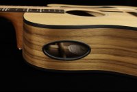 Gibson Generation Collection G-Writer EC