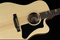 Gibson Generation Collection G-Writer EC