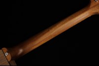 Gibson Generation Collection G-Writer EC