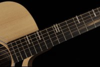 Gibson Generation Collection G-Writer EC