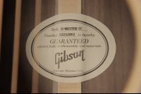 Gibson Generation Collection G-Writer EC