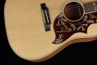 Gibson Hummingbird Faded