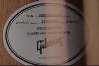 Gibson Hummingbird Standard Exclusive - EB