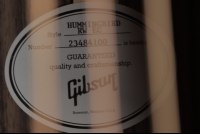 Gibson Hummingbird Standard Rosewood EC