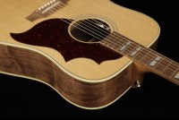 Gibson Hummingbird Studio Walnut - AN