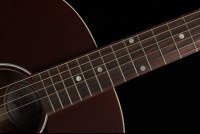Gibson J-45 Special - WR