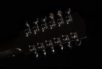 Gibson J-45 Standard 12-String