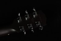 Gibson L-00 Special - VS