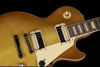 Gibson Les Paul Classic - HB