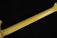 Gibson Les Paul Special Double Cut - TY