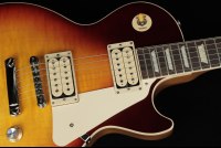 Gibson Les Paul Standard '60s Double Trouble - VU
