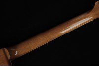 Gibson Les Paul Standard '60s Double Trouble - VU