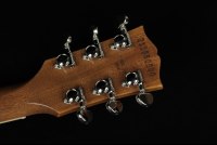 Gibson Les Paul Standard '60s Double Trouble - VU