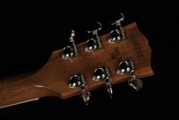 Gibson Les Paul Standard '60s Double Trouble - VU