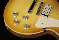 Gibson Les Paul Standard '60s Double Trouble - VH