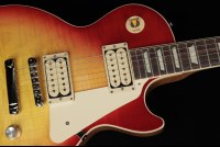 Gibson Les Paul Standard '60s Double Trouble - VC