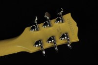 Gibson Les Paul Standard '60s Mahogany Top - TY