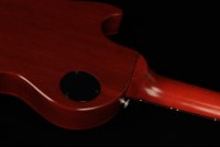 Gibson Les Paul Tribute - WS