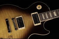 Gibson Slash Les Paul Standard - NV