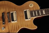 Gibson Slash Les Paul Standard - AA