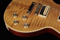 Gibson Slash Les Paul Standard - AA