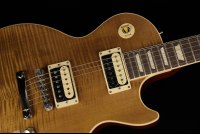 Gibson Slash Les Paul Standard - AA