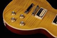 Gibson Slash Les Paul Standard - AA