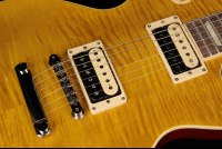 Gibson Slash Les Paul Standard - AA