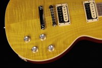 Gibson Slash Les Paul Standard - AA