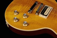 Gibson Slash Les Paul Standard - AA