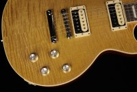 Gibson Slash Les Paul Standard - AP