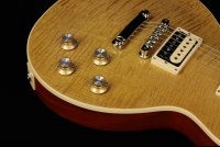 Gibson Slash Les Paul Standard - AP