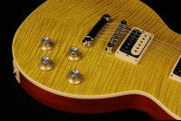 Gibson Slash Les Paul Standard - AP