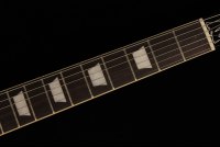 Gibson Slash Les Paul Standard - AP