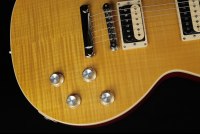 Gibson Slash Les Paul Standard - AP