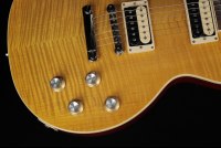 Gibson Slash Les Paul Standard - AA