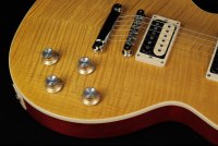 Gibson Slash Les Paul Standard - AA