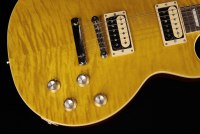 Gibson Slash Les Paul Standard - AA