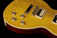 Gibson Slash Les Paul Standard - AA