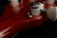 Gretsch G6119 Tennessee Rose
