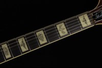 Gretsch G6120 Eddie Cochran Signature